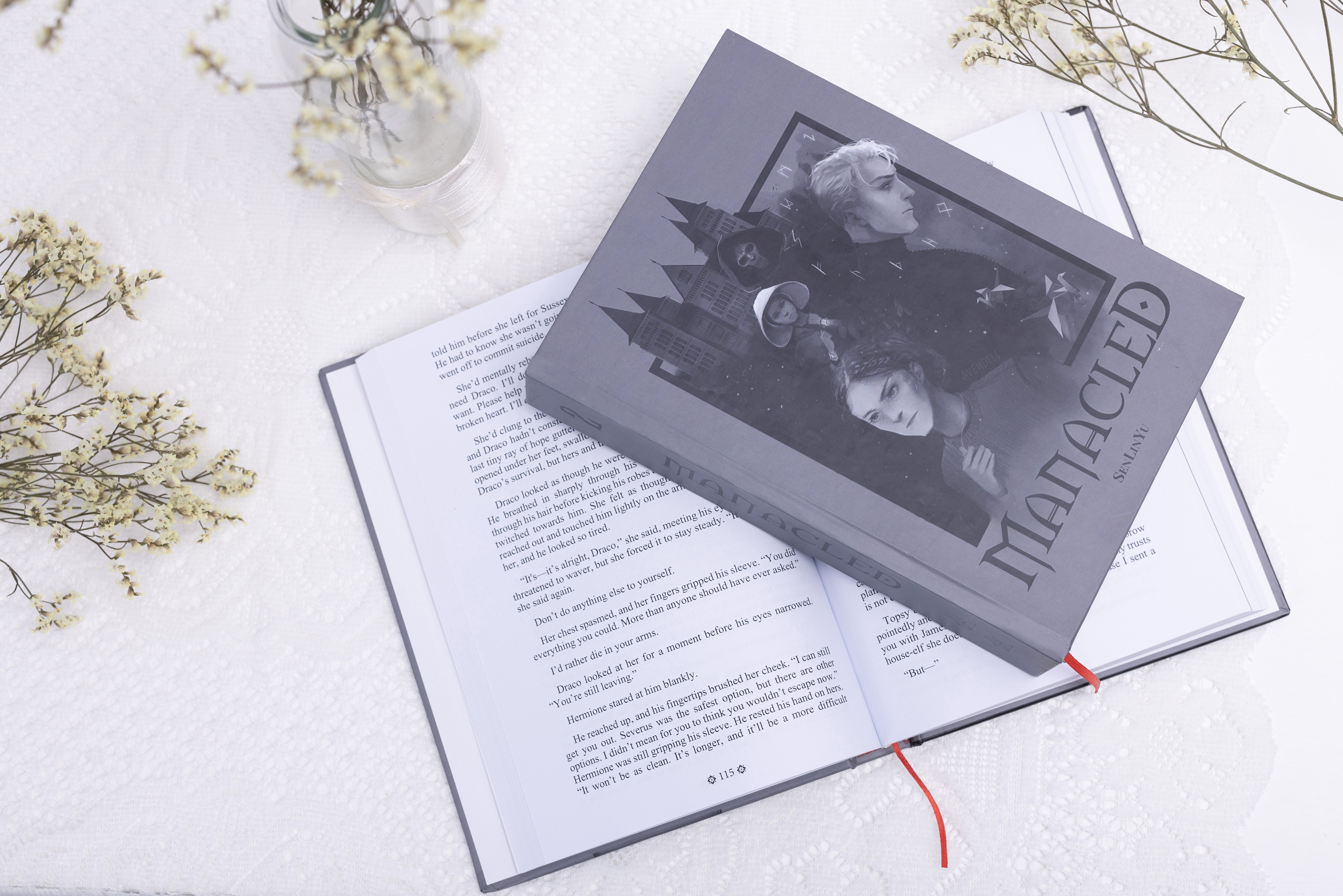 Manacled Book - Deluxe 3-Volume Edition with Illustrations - Complete Series. Exclusive Poster Gift Set Included - WizyBook